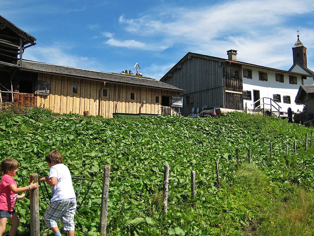 Apartment Haus Ricarda *